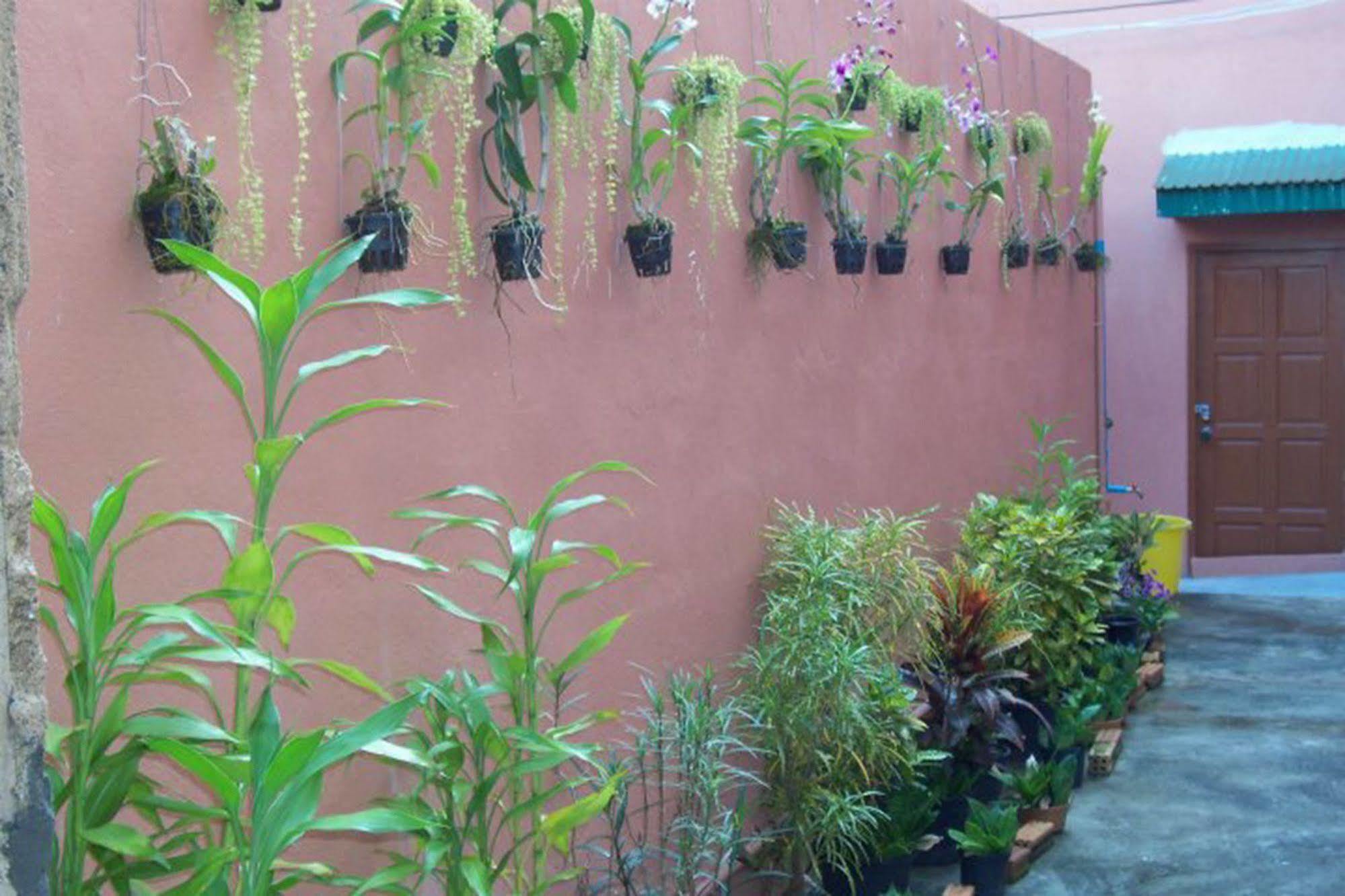 D'S Corner & Guesthouse Phuket Buitenkant foto